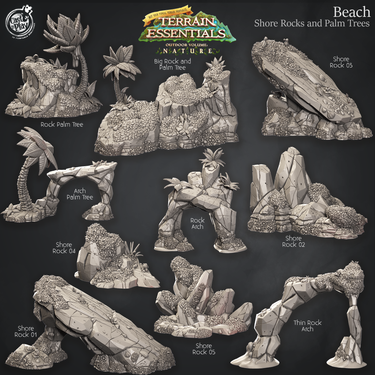 Beach Terrain - Shore Rocks With Palm Trees